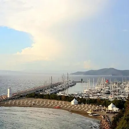 Apartment Sul Mare Di